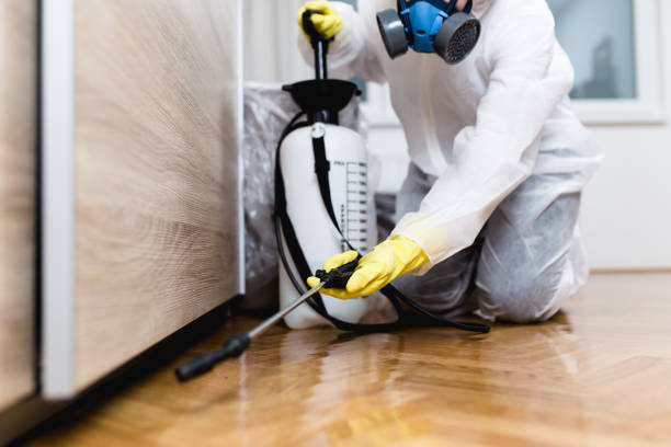 Trusted Meridian Village, CO Pest Control Experts