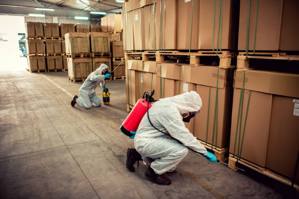 Best Pest Inspection Near Me  in Meridian Village, CO