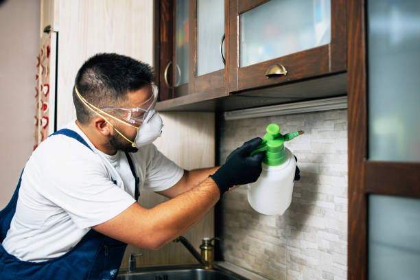 Best Termite Control Services  in Meridian Village, CO