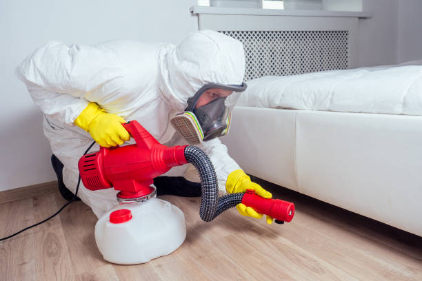 Best Insect Control  in Meridian Village, CO