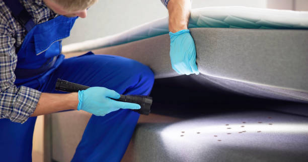 Best Exterminator Services  in Meridian Village, CO