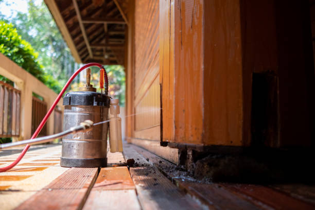 Best Affordable Pest Control Services  in Meridian Village, CO
