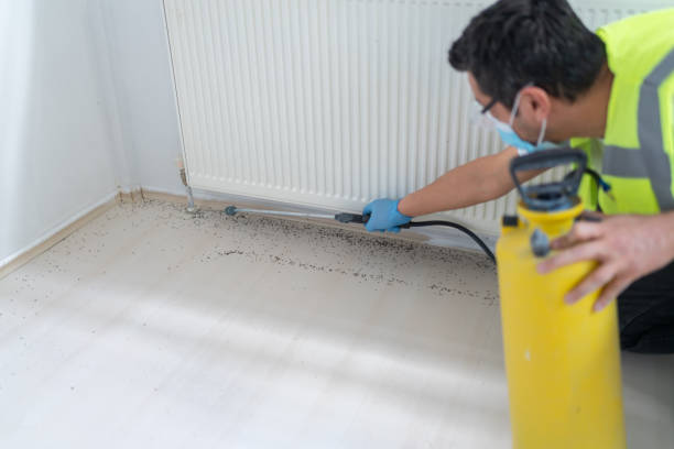 Best Ant Control Services  in Meridian Village, CO